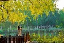 果冻在线传媒-探索果冻在线传媒，数字时代的创意传播新势力