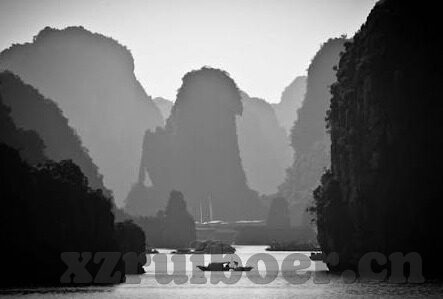 糖心app免费下载苹果-开启健康生活新篇章，糖心App免费下载及苹果应用推荐