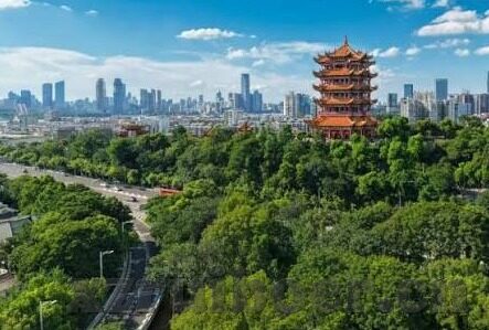 糖心视频app下载汅app-一篇以理性视角审视网络安全的文章