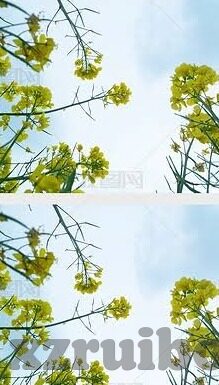 糖心直播官网安全下载-小心谨慎，安全的糖心直播下载之道
