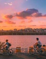 vlog糖心在线观看-提着生活的小小相机——Vlog糖心，记录与分享的甜蜜时刻